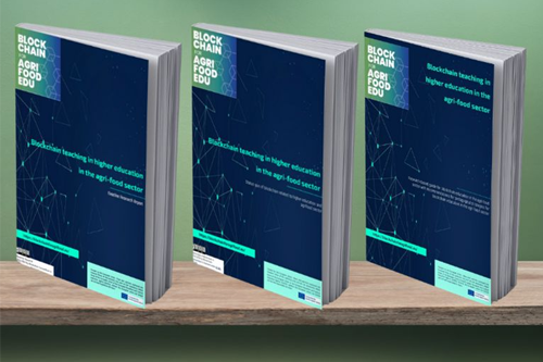 Photo of the front and back of a book on a wooden shelf. The cover is dark blue with turquoise text.