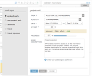 Screen shot of work input window in 4PM web application.