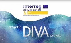 DIVA project logo