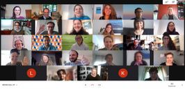 Screen shot of twenty-nine participants at the webinar.