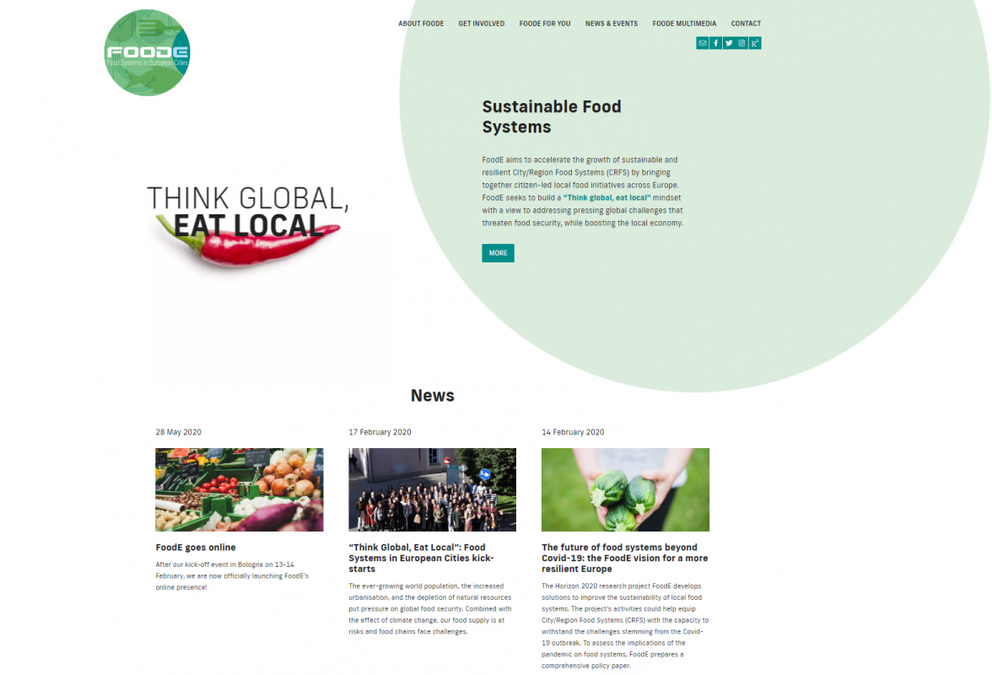 Screen shot of a Foode Food system in European cities hope page.