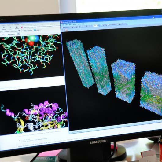 Photograph of a computer screen displaying graphical models.